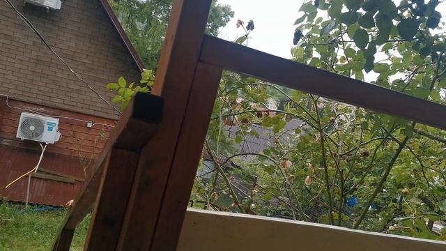 СОЧИ ГОРНОЕ ЛОО УТРО 31.05.2026 смотреть онлайн