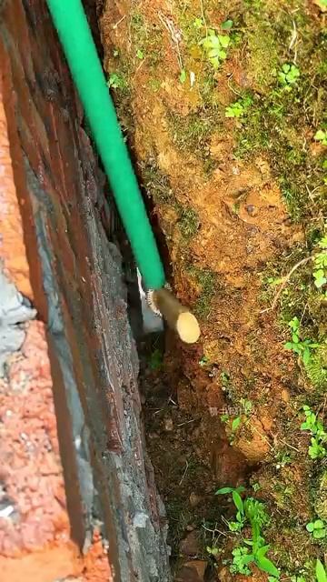 _adam _lifehacks _lifetips _lifeisbutadream _diy _funny _shortvideo(360P)