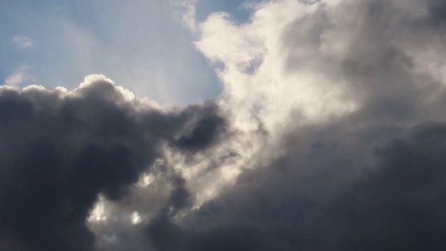 Репортажи с Ижоры / 19 апреля 2026 / Ветер, самолёт,гуси и неизвестный орёл...