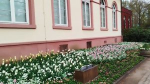 ГЕРМАНИЯ. КУРОРТНЫЙ ПАРК В БАД ХОМБУРГЕ. 04.04.26