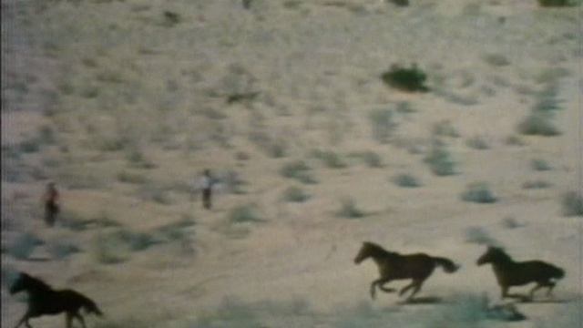 AMERICA - Horse With No Name (America 1972)
