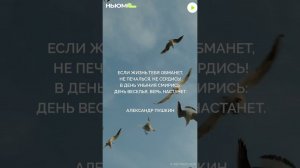 Напутствие на день