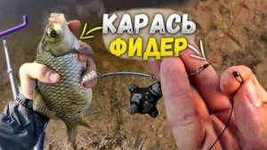 Фидер - убийца донки! Что спасёт рыбалку на осторожного карася_!
