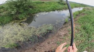 РЫБАЛКА НА ПОПЛАВОЧНУЮ УДОЧКУ