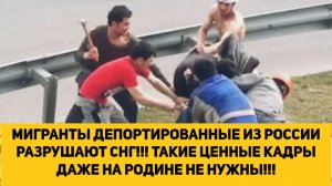МИГРАНТЫ ДЕПОРТИРОВАННЫЕ ИЗ РОССИИ РАЗРУШАЮТ СНГ!!! ТАКИЕ ЦЕННЫЕ КАДРЫ ДАЖЕ НА РОДИНЕ НЕ НУЖНЫ!!!