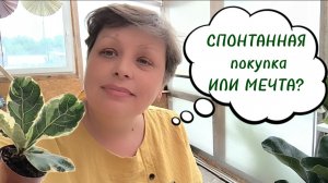 КРУГОМ РАЗРУХА... А У НАС РАСПАКОВКА СПОНТАННЫХ ПОКУПОК. 🤷