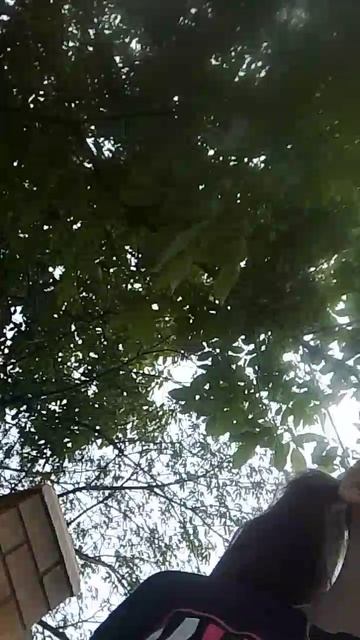 ХХИИХ смотреть онлайн