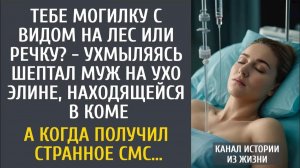 Истории из жизни: Тебе могилку с видом на лес или речку? - ухмыляясь шептал муж на ухо Элине в коме