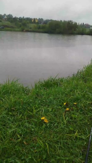 с дедом на рыбалке 🎣