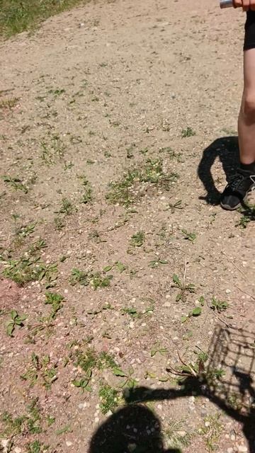 урод какой-то лезет. смотреть онлайн