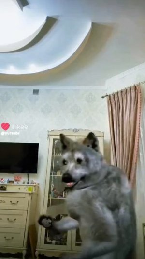 как боксируют пацаны