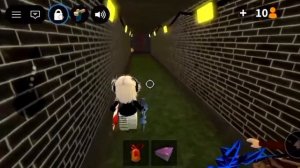 1000022073.mp4