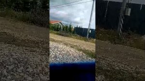 31-05-2026
