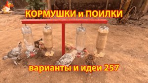 Кормушки и поилки для кур своими руками 257 🪚✂️ Пошаговая инструкция как сделать 🐔 🐓❣️