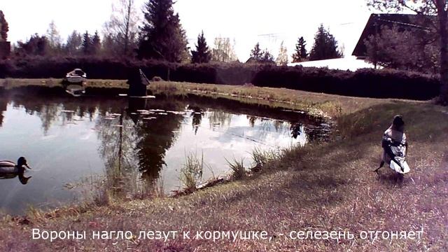 Фотоловушка