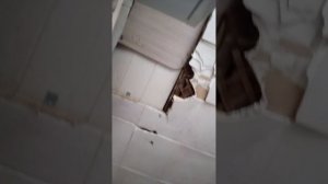Завтры я поехать в лагерь