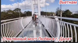 Вьетнам. Стеклянный мост в Далате, столице провинции Ламдонг🔥🔥🔥
