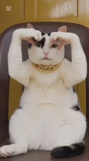 Смешные животные с эффектом ИИ🤩🤡😂 Смешная нарезка🤭🔥🎃
