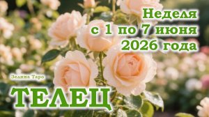 ТЕЛЕЦ | ТАРО прогноз на неделю с 1 по 7 июня 2026 года