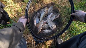 Чудная рыбалка с боковым кивком на реке