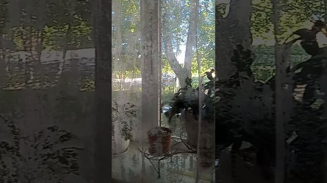 31-05-2026 едут на такси Н. С и Лена г. Москва. ждите стрим. смотреть онлайн