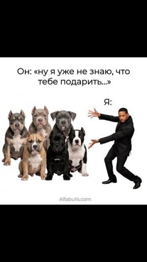 Прелести иметь собаку 🔝