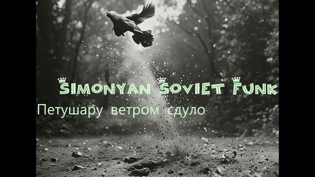 Simonyan Soviet Funk  - Петушару ветром сдуло