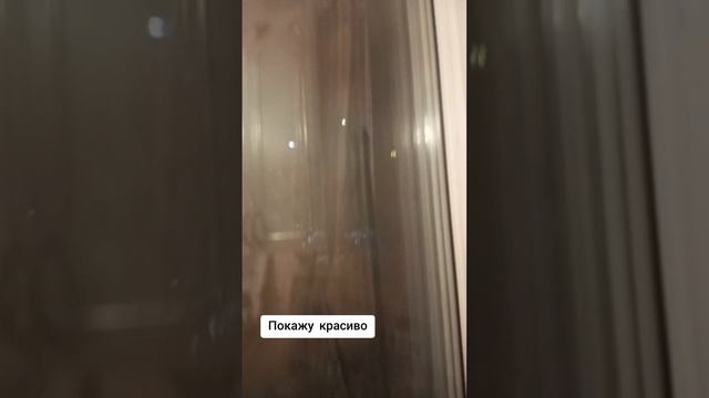 цветок расцвёл