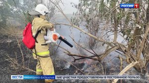 В России обновили правила пожарной безопасности в лесах