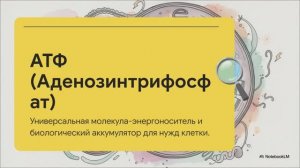 Биология 10 класс § 21 Обмен веществ и превращение энергии в клетке