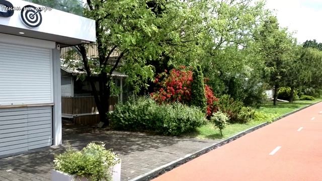 ФТ Сириус. Неспешная прогулка по Имеретинской набережной после утреннего дождика 31 мая 2026 года.