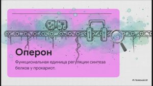 Биология 10 класс § 25 Регуляция транскрипции и трансляции в клетке и организме