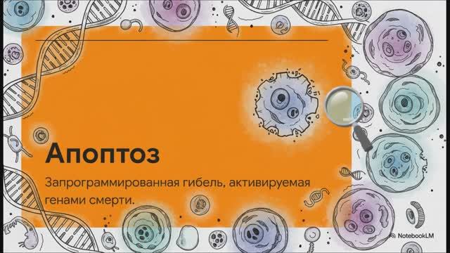 Биология 10 класс § 26 Деление клетки Митоз