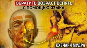 21. Что если твоё лицо стареет из-за положения языка | За Гранью Кода