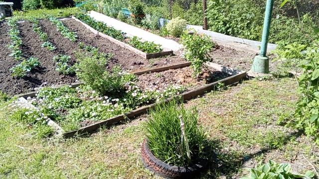 Съездили в Светофор. Когда это всё закончится. смотреть онлайн