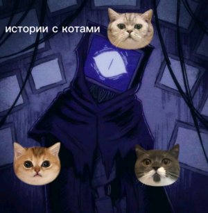 истории с котами