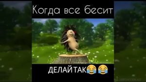 6b80ddf8-b92b-48b5-a661-1cc52d080e90-1_all_9039.mp4