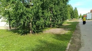 С праздником Святой Троицы ✅Мира и добра всем.