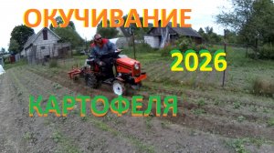 Окучивание картофеля 2026