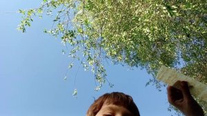 по гаражам