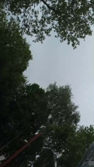 мемс 6
