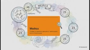 Биология 10 класс § 27 Деление клетки Мейоз Половые клетки