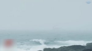 По Всему Миру В ВОДЕ Появляются СТРАННЫЕ Существа - Никто Не Знает Почему!