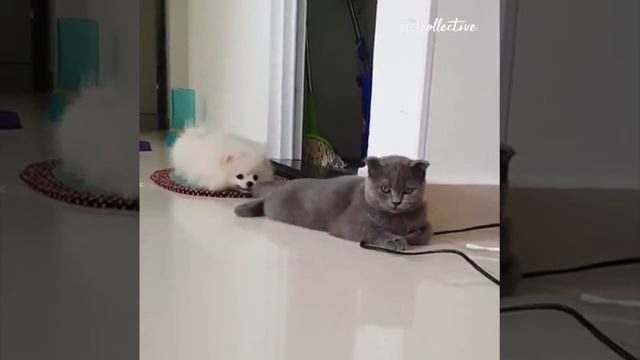 Не трогай провода!)) смотреть онлайн