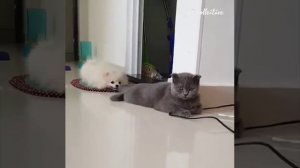 Не трогай провода!))