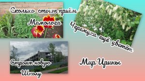 СКОЛЬКО СТОИТ ПРИЁМ МАМОЛОГА| ЧЕРЁМУХА ЕЩЁ ЦВЕТЁТ | СТРОЯТ НОВУЮ ШКОЛУ●●●