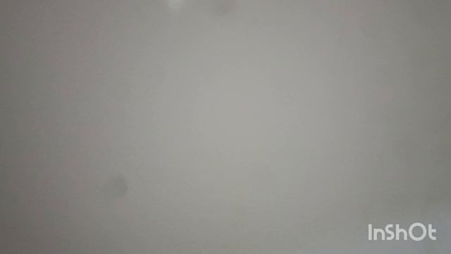 1000156111.mp4 смотреть онлайн