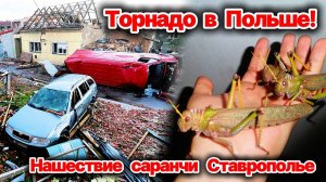Торнадо разрушил дома в Польше❗ Нашествие саранчи на Ставрополье❗ Ураган и град в Индии❗ Сегодня ЧП❗