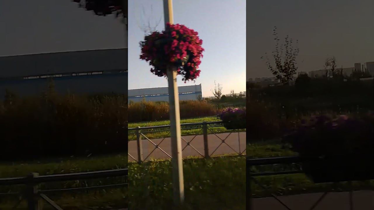 Долгожданный отпуск. Едем в аэропорт Пулково.   #самолет, #путешествия, #туризм, #Санкт-Петербург