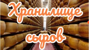 Часть 11. ПО ПРОСЬБЕ КАНАЛА « Село|Моя Жизнь|Online». ПРОИЗВОДСТВО СЫРОВ. ЭКО НИВА.